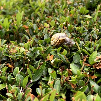 D6639CF8-819F-4C9A-A922-3267578A1EA7 2